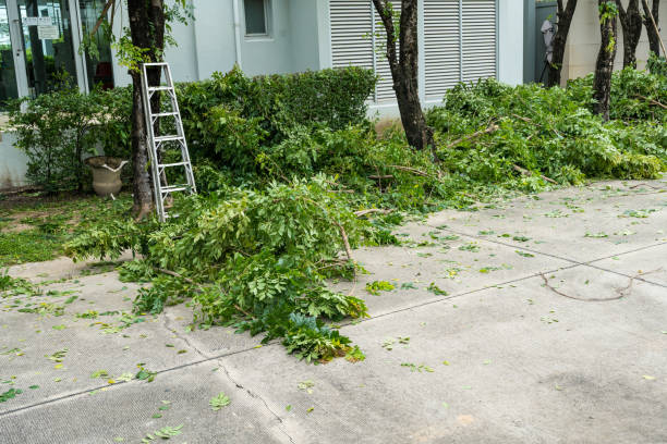 Leaf Removal in Stanley, VA